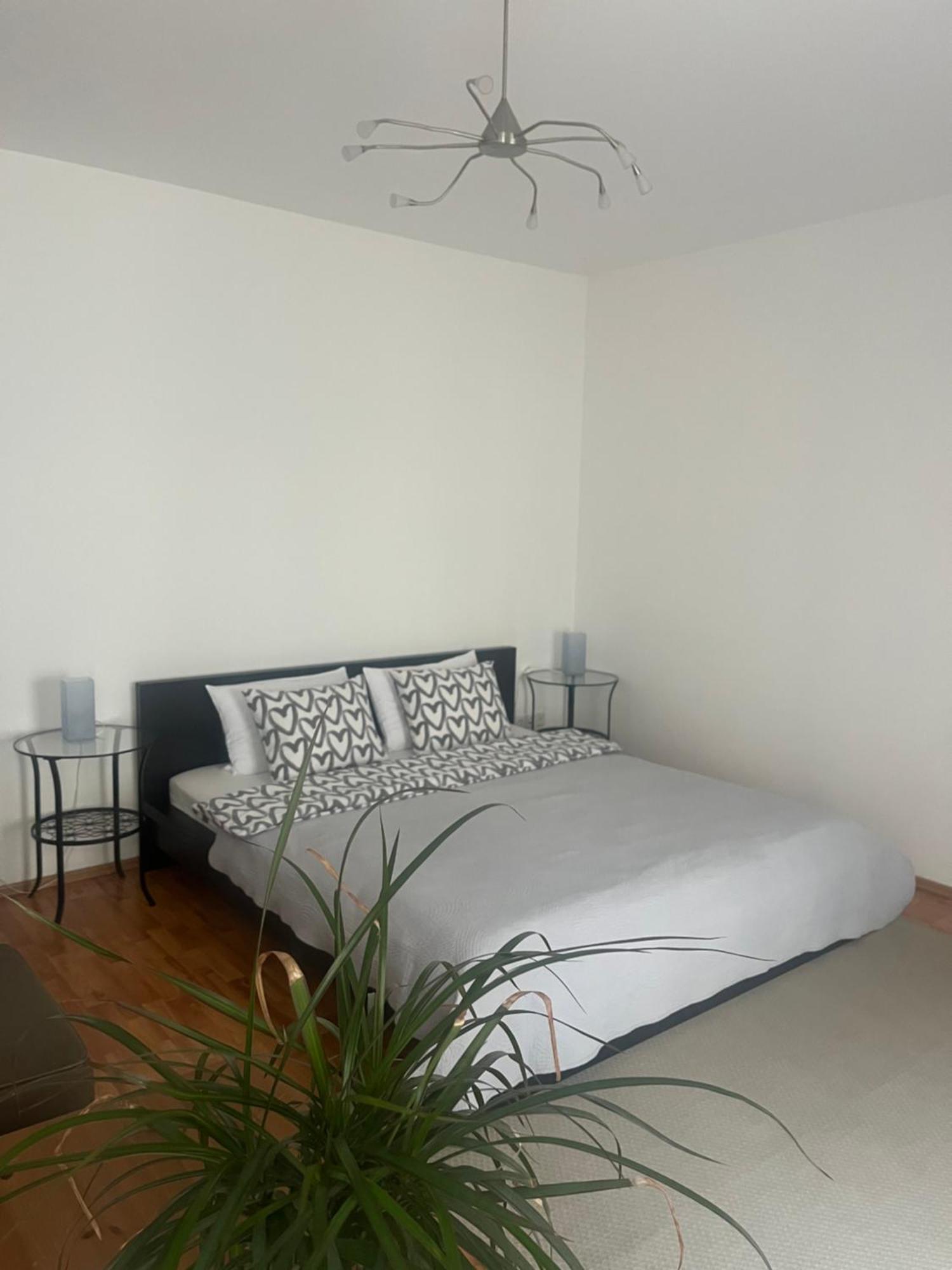 City Center Apartments With Optional Garage 布达佩斯 外观 照片